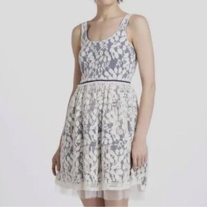 Elegant Lace Overlay Dress in Blue and White